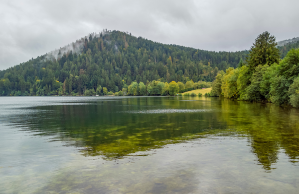 Conciergerie gestion chalet / logement airbnb vosges, gerarder, la bresse