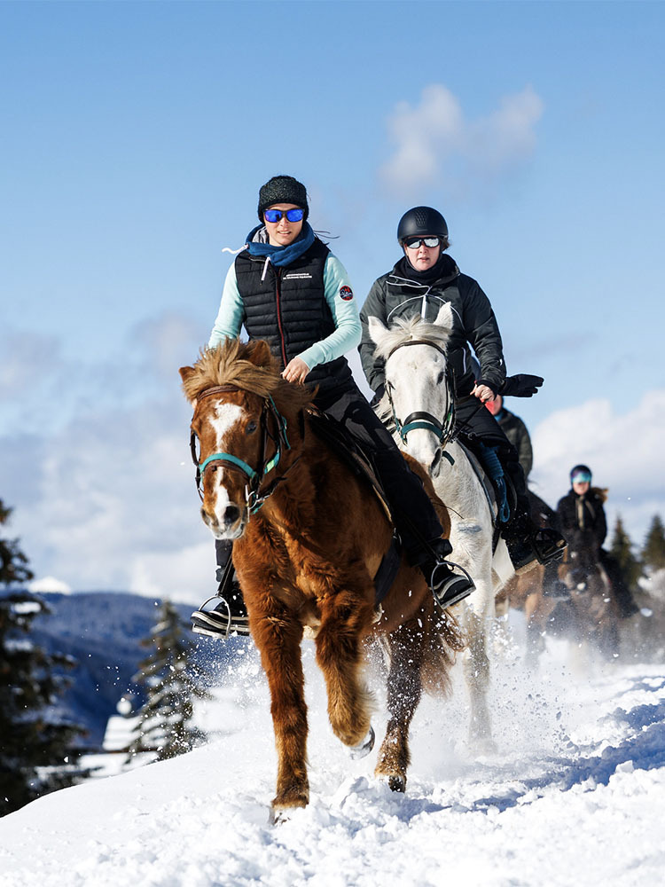 antares meribel horseback riding