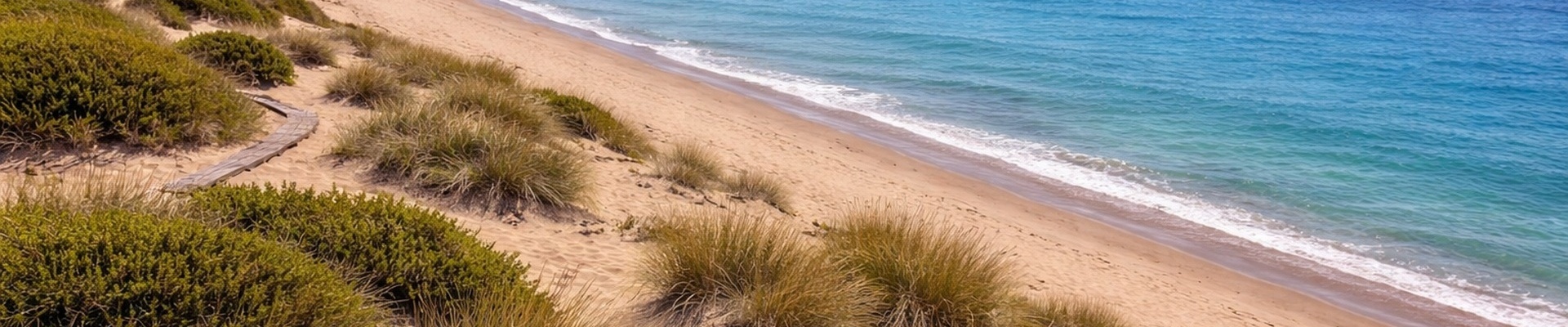 Sand dunes and Mediterranean coastline in Marbella East