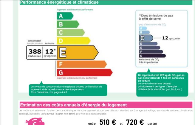 Energy Performance Rating (DPE) label class E - energy and climate performance of the property